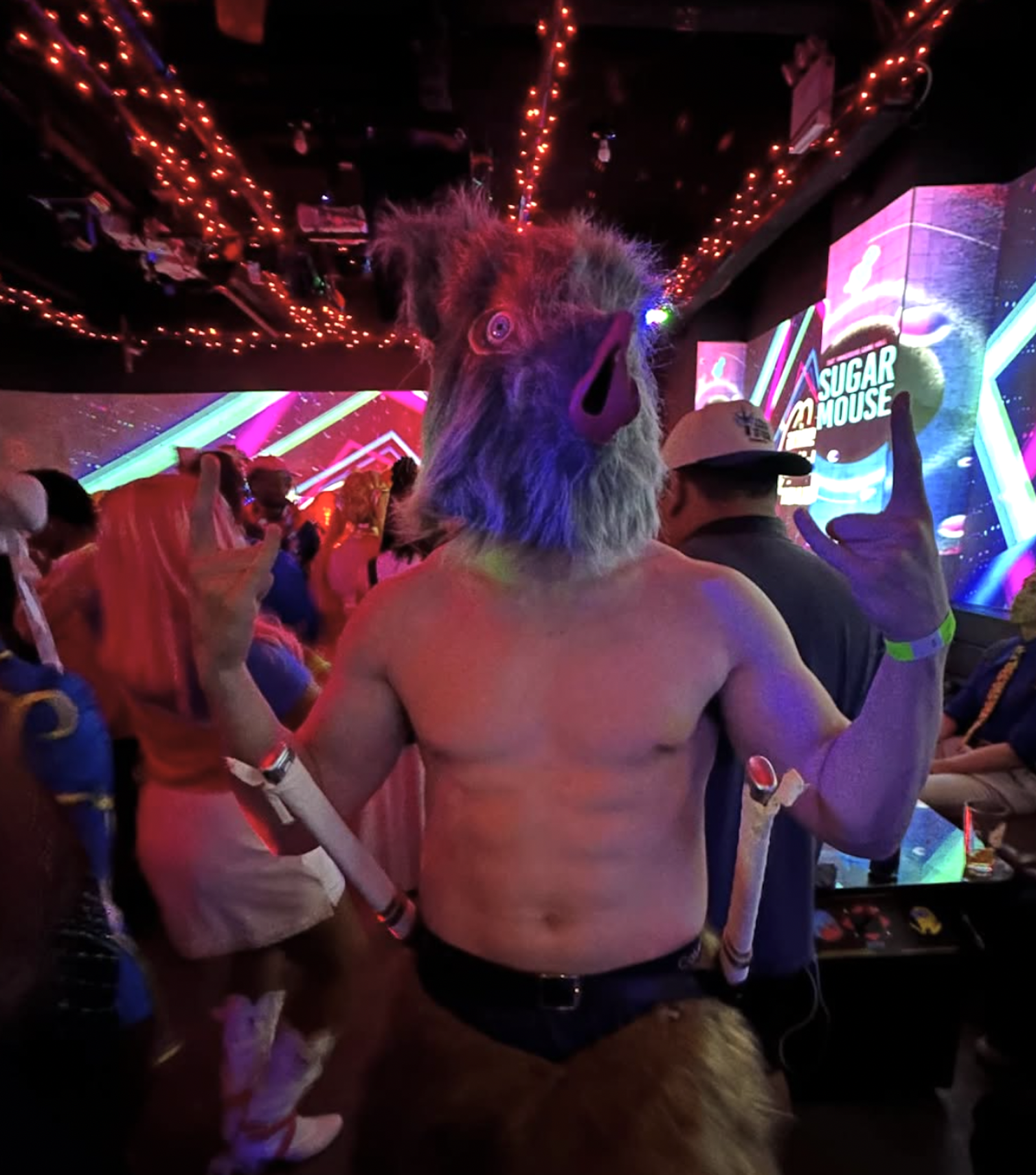 sugar mouse costume party halloween